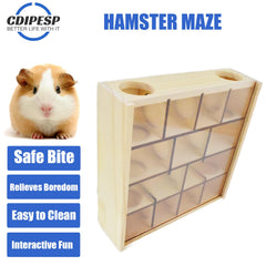 Cdipesp couvercle acrylique transparent pour observer sans blessure.