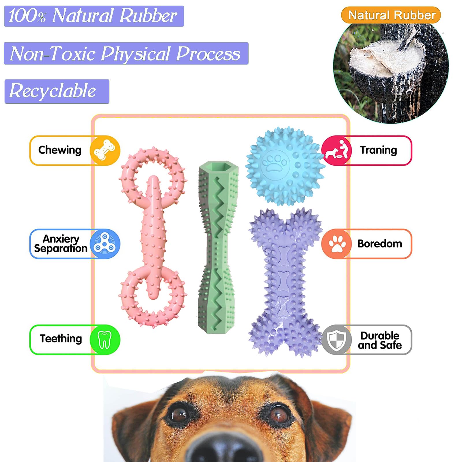 Matière caoutchouc naturel du jouet chiot favorisant le massage des gencives.
