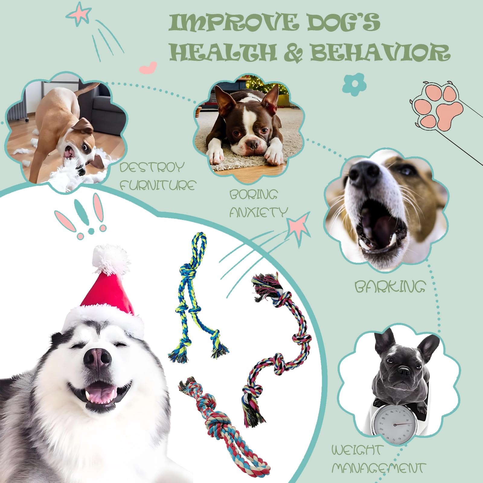 Cdyzqikm corde-chien durable, idéal pour sessions sécurisées