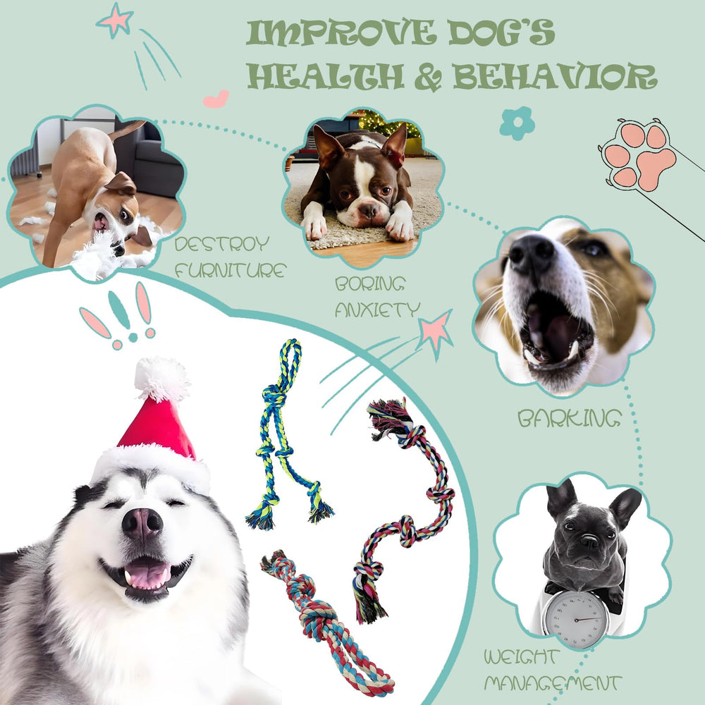 Cdyzqikm corde-chien durable, idéal pour sessions sécurisées