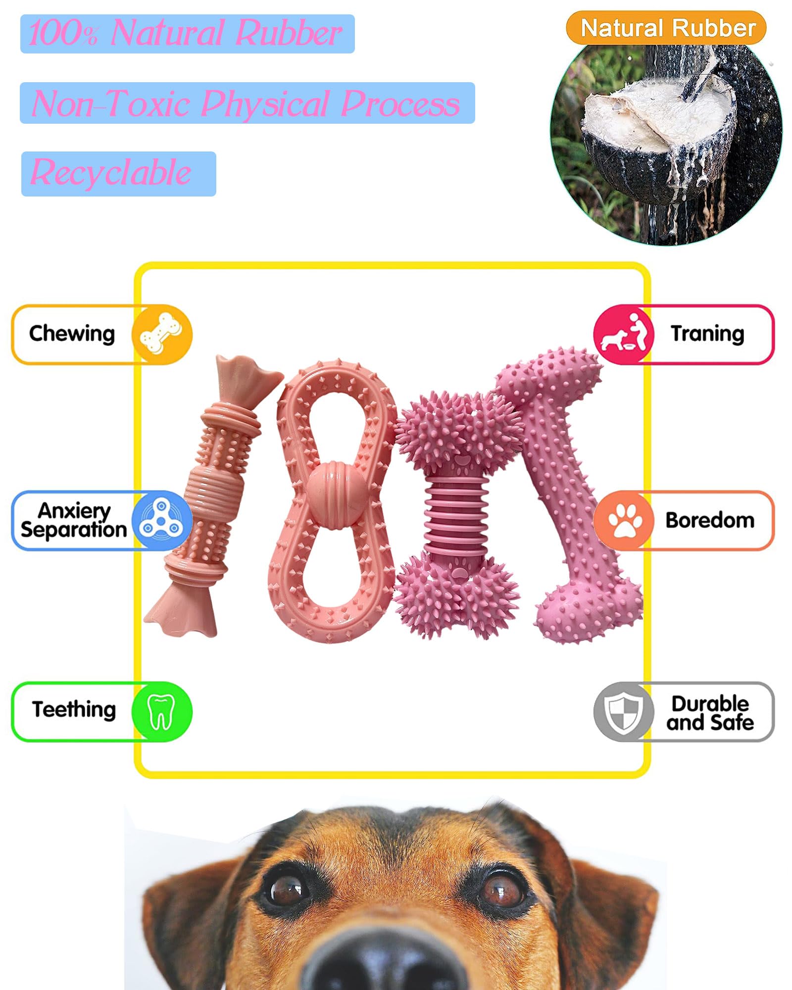 Cdyzqikm emballage prêt à offrir pour chien.