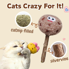 CECE PAW Sucette Chat avec silvervine favorisant l’amusement et l’exploration