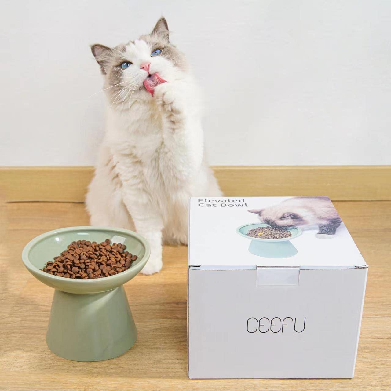 CEEFU bol chat céramique élevé, détail lèvre intérieure minimise les déversements.