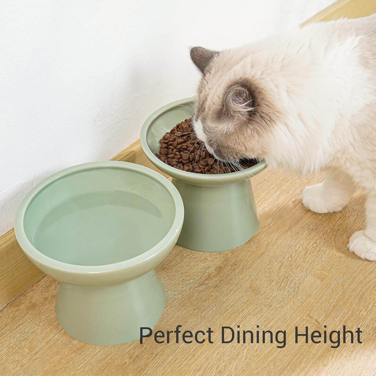CEEFU bol en céramique élevé, stabilité renforcée pour chats actifs.