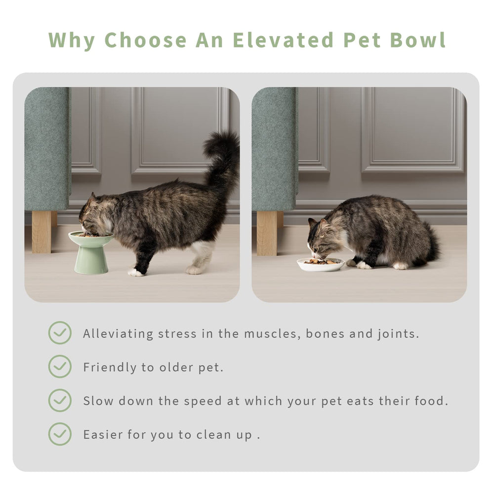 CEEFU bol chat design chic vert sauge, idéal pour les repas quotidiens.