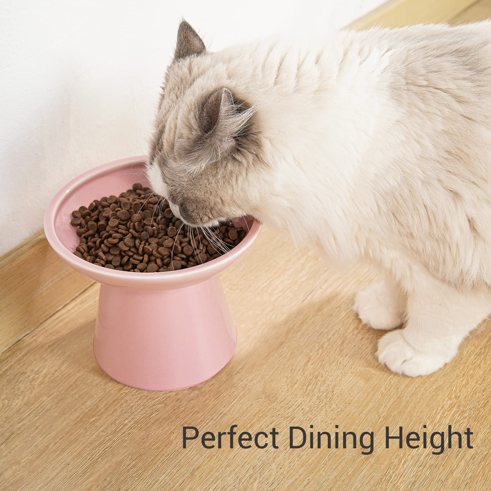 Idéal pour les chats âgés, réduction du besoin de se pencher.
