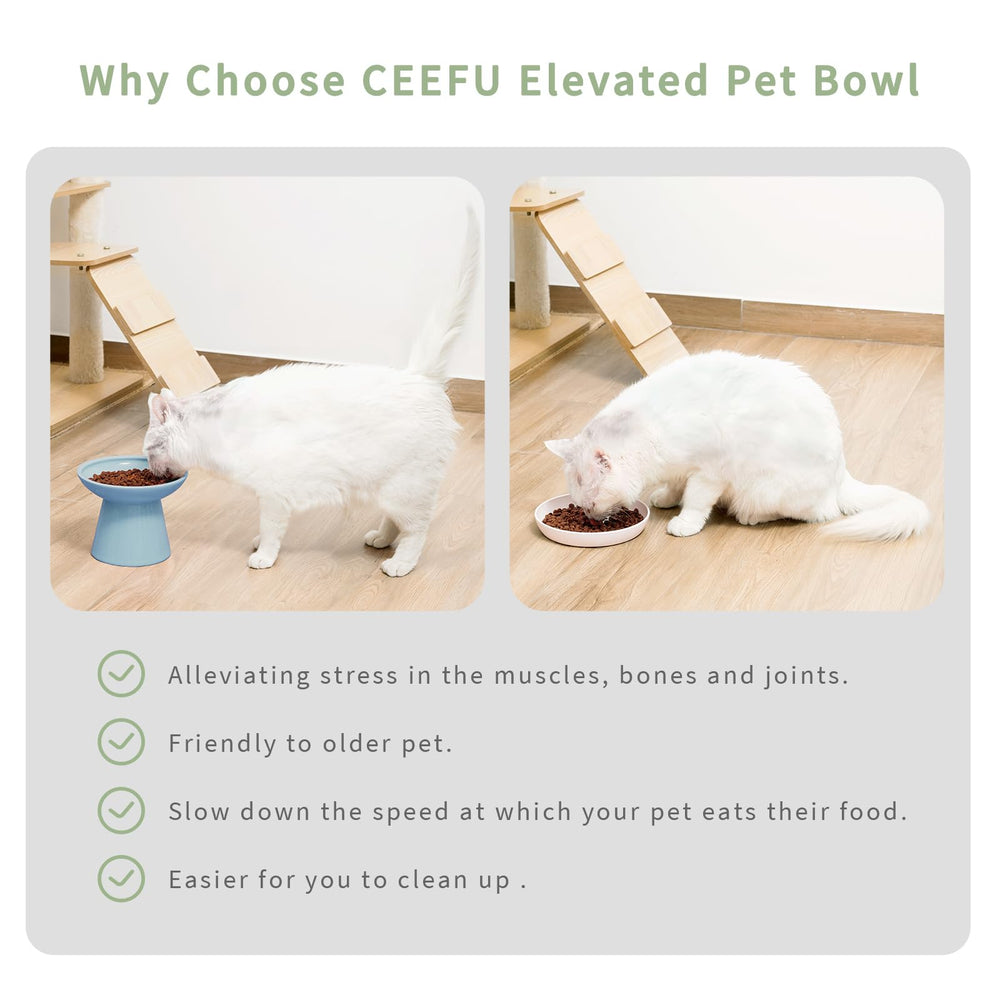 CEEFU gamelle surélevée bleu adaptée aux chats âgés ou sensibles.