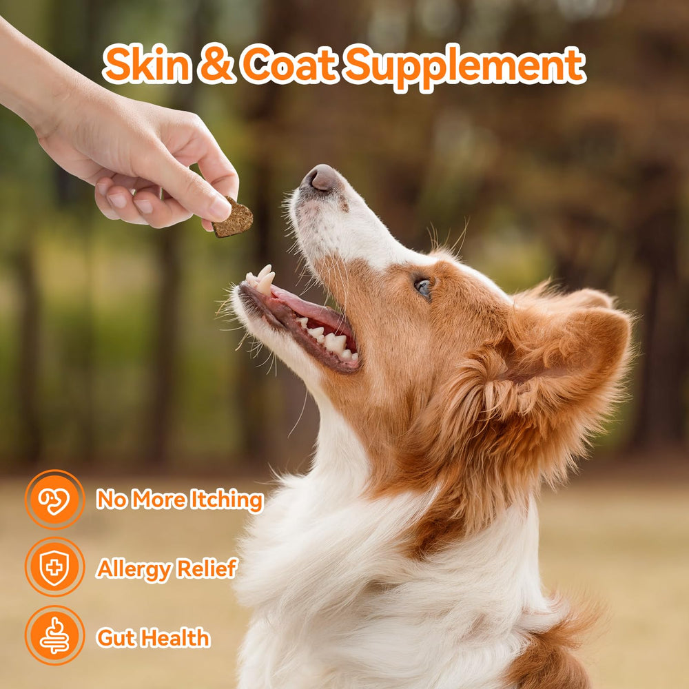 CeliAeh Friandises Allergie Chien – ingrédients probiotiques et colostrum, soutien intestinal.
