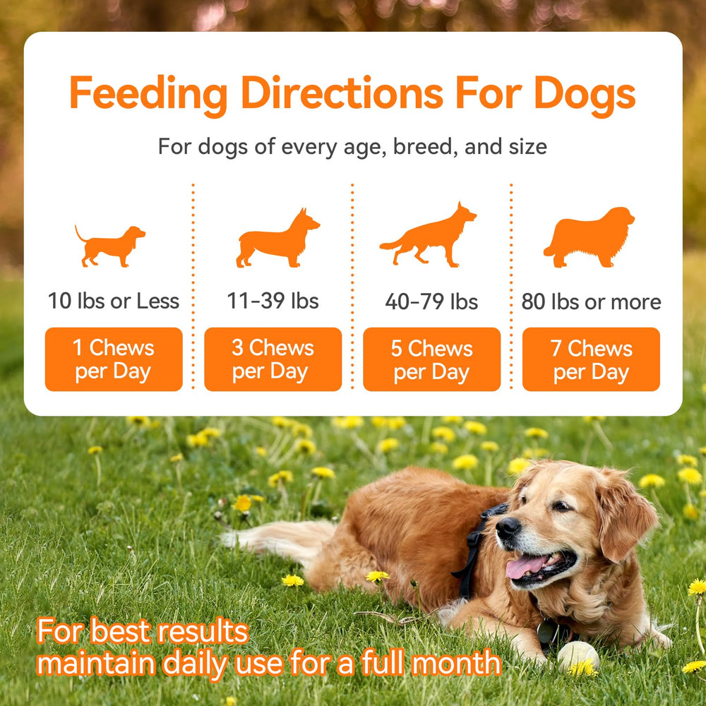 CeliAeh Dog Allergy Chews — texture moelleuse facilitant l'alimentation