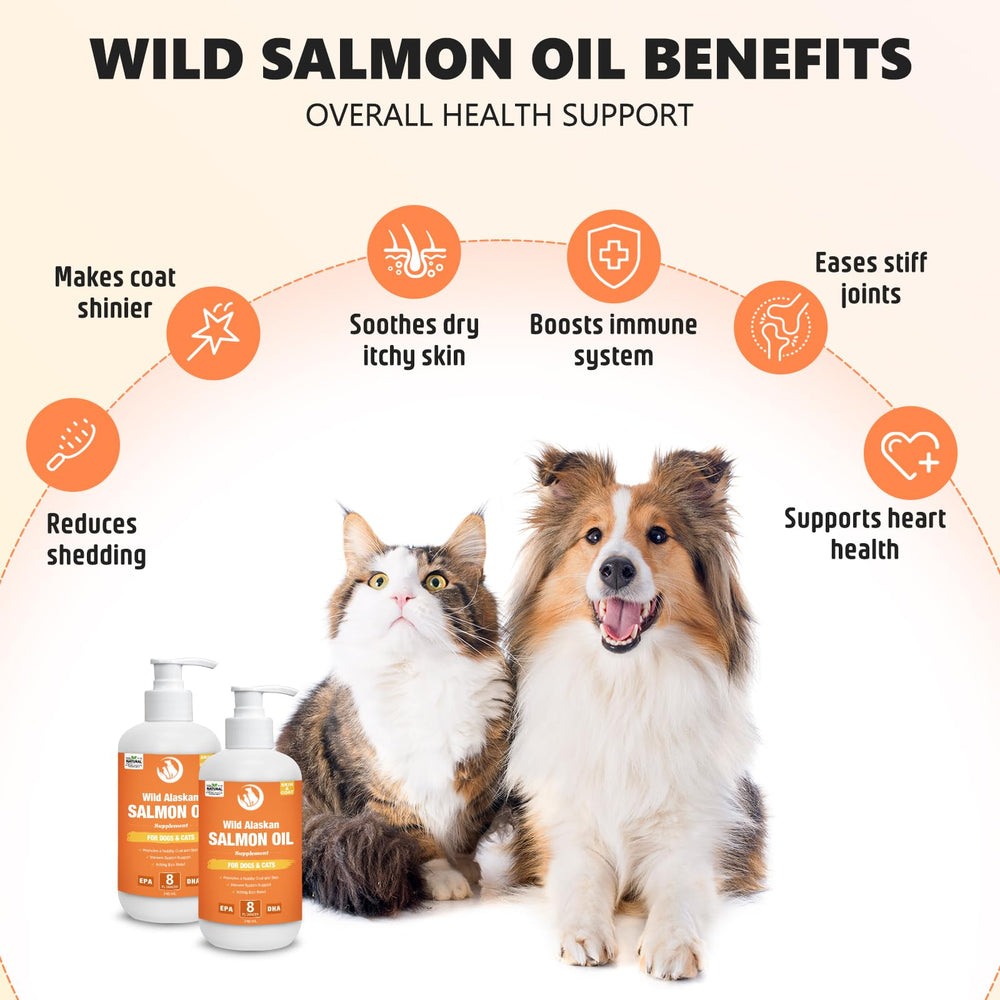CeliAeh huile saumon sauvage chien-chat — support des articulations et mobilité.