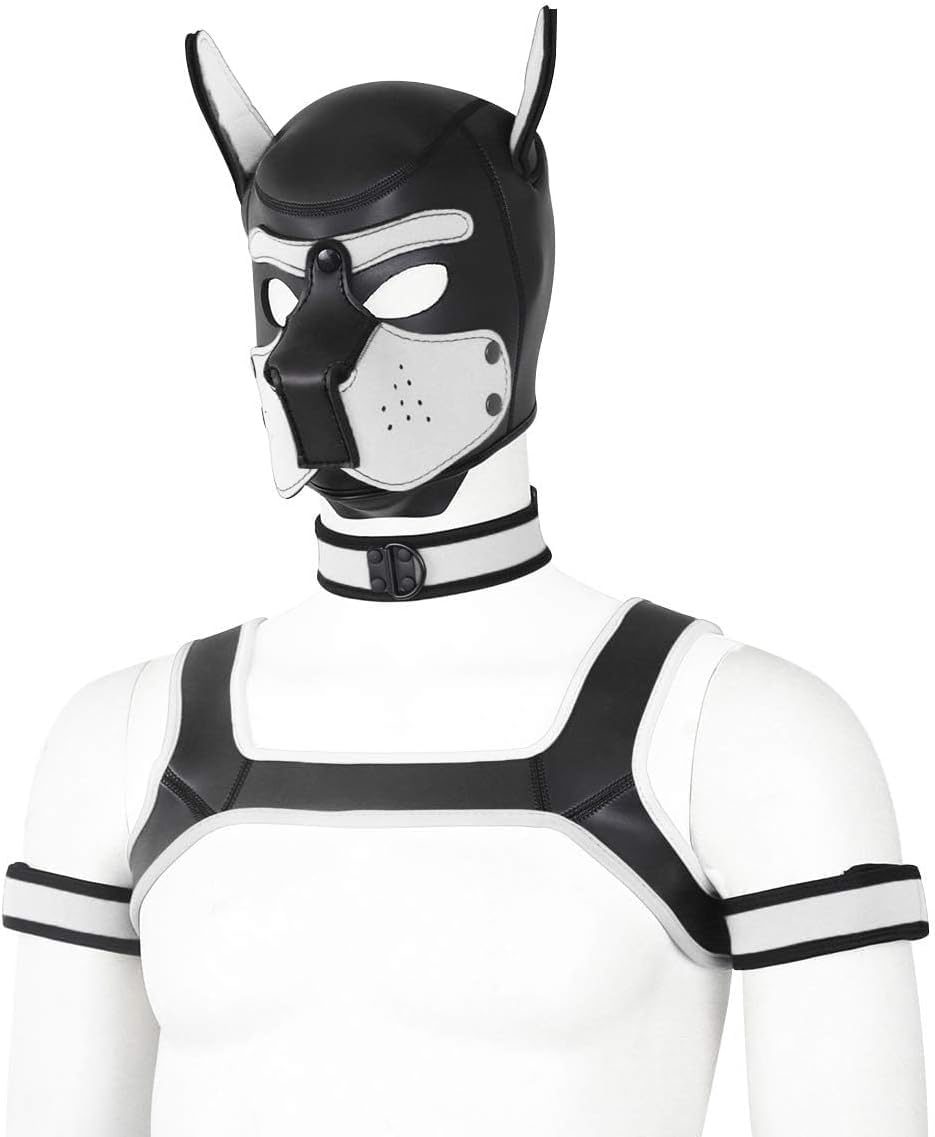 Collier chien CelILucky, collier ajustable pour sécurité et style.