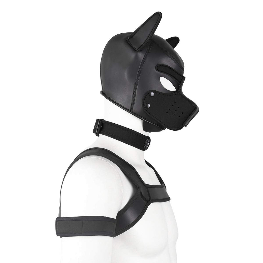 CelILucky ensemble collier-brassard-harnais : ensemble polyvalent et ajustable pour confort.