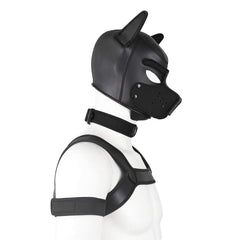 CelILucky ensemble collier-brassard-harnais : ensemble polyvalent et ajustable pour confort.