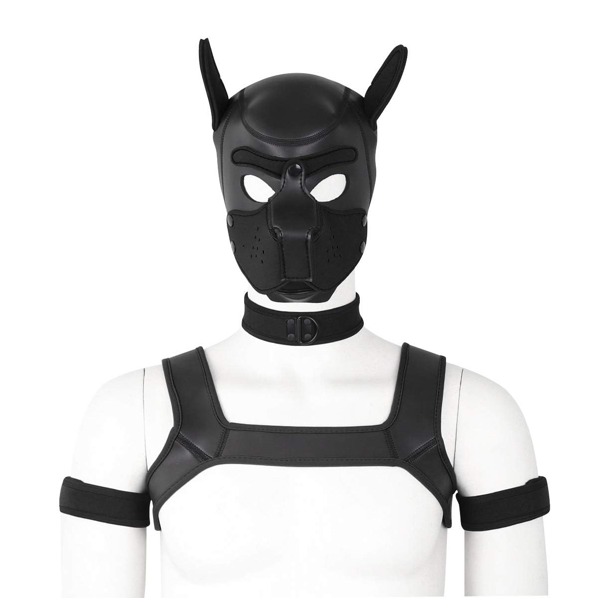 CelILucky hood chien neoprene : capuche confortable et ajustée pour un look ludique.