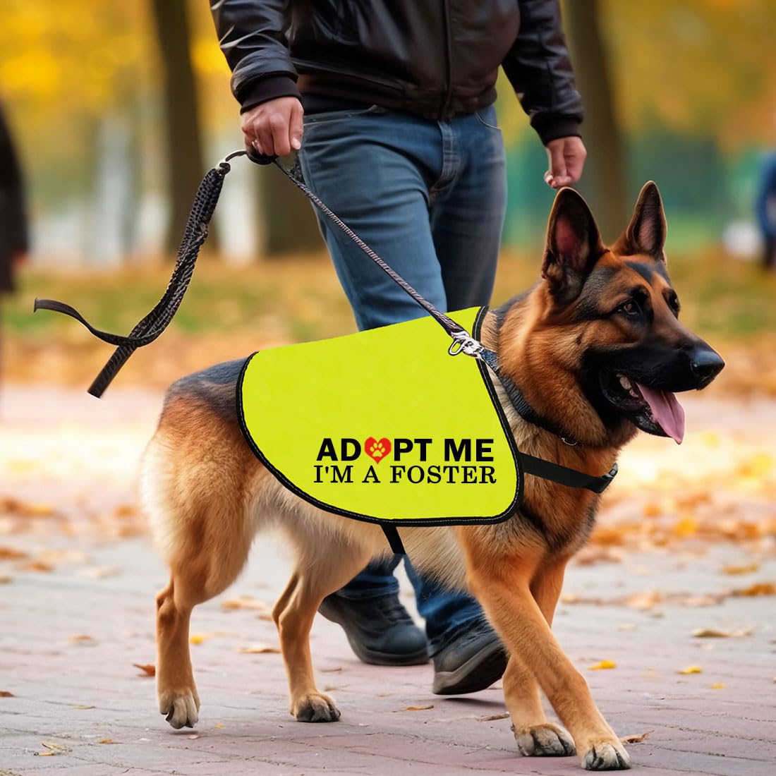 Accessoire Cenwa pratique pour les sorties, poche et transport faciles.