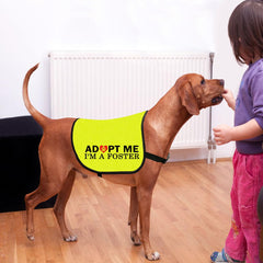 Gilet Cenwa taille large pour chien, ajustement sûr et couverture du torse.