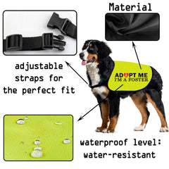 Gilet Cenwa taille moyenne pour chien, confort et liberté de mouvement.