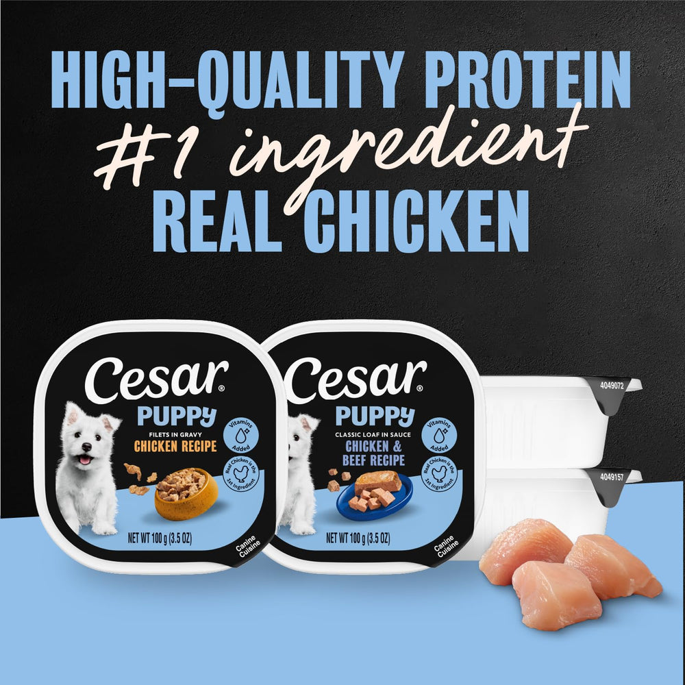 Cesar Chiot Filets en Gravy: morceaux savoureux prêts à servir