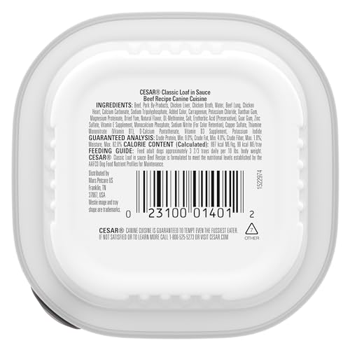 Cesar Classic Loaf en Sauce servi dans une assiette, repas appétissant pour chien adulte.