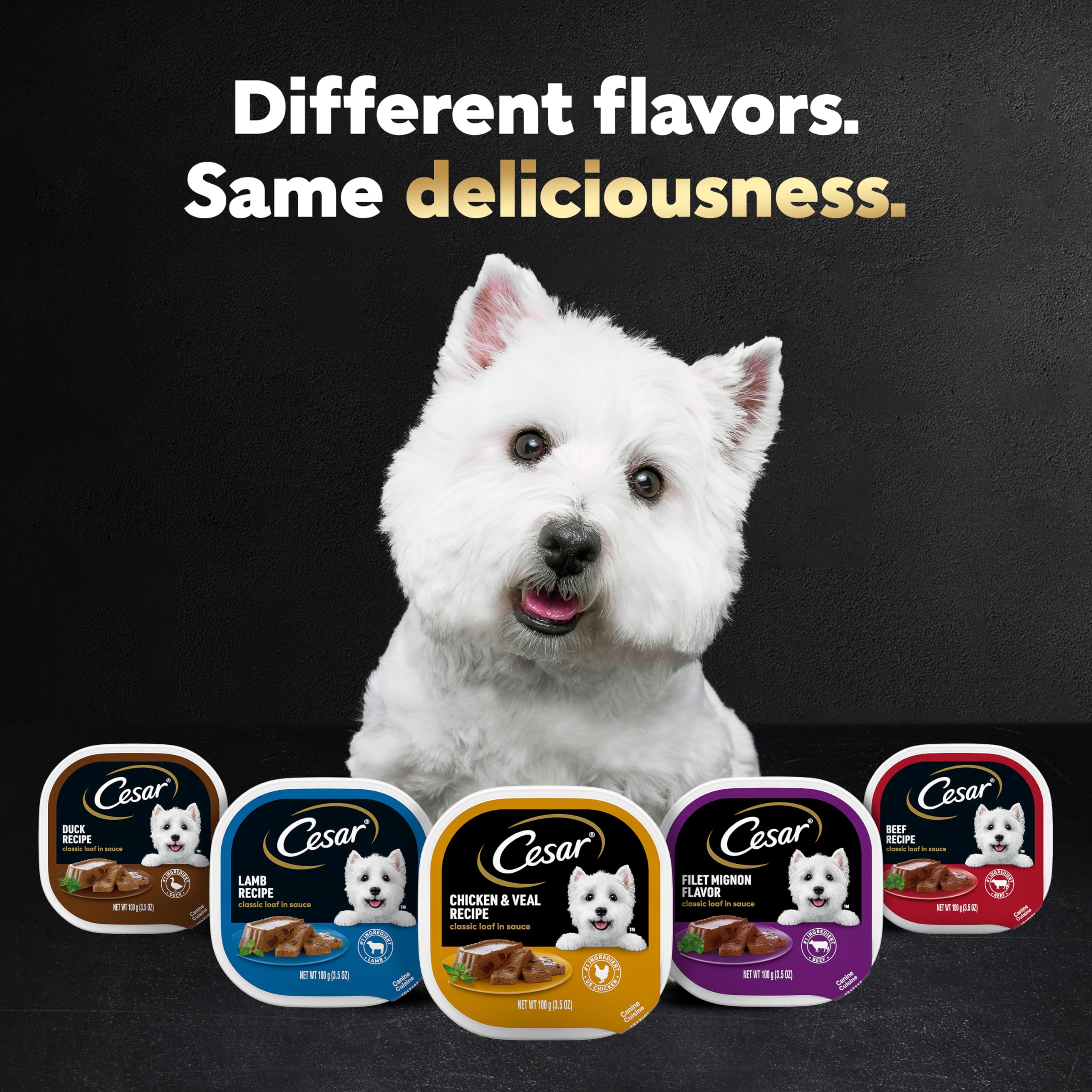 Nutrition complète et équilibrée pour chiens adultes avec Cesar Classic Loaf en Sauce.