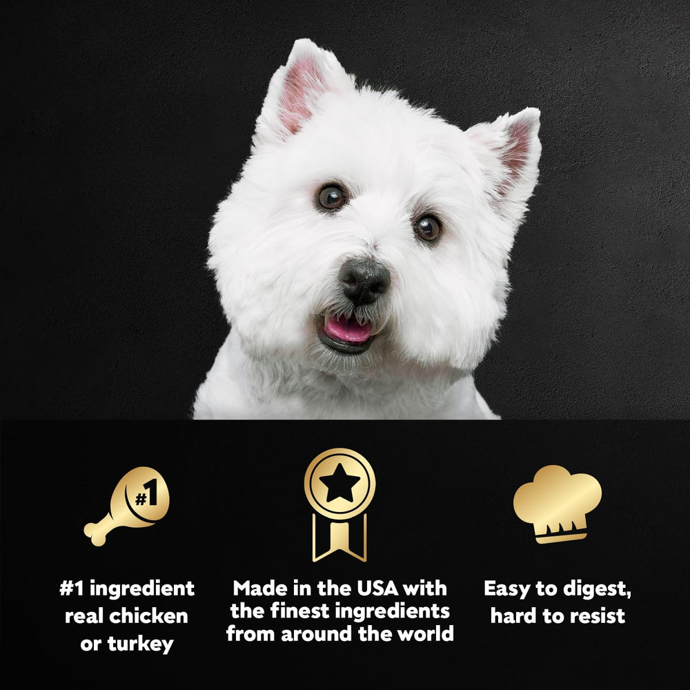 Cesar Filets en Gravy dinde recette sur plateau, texture tendre pour chien adulte.