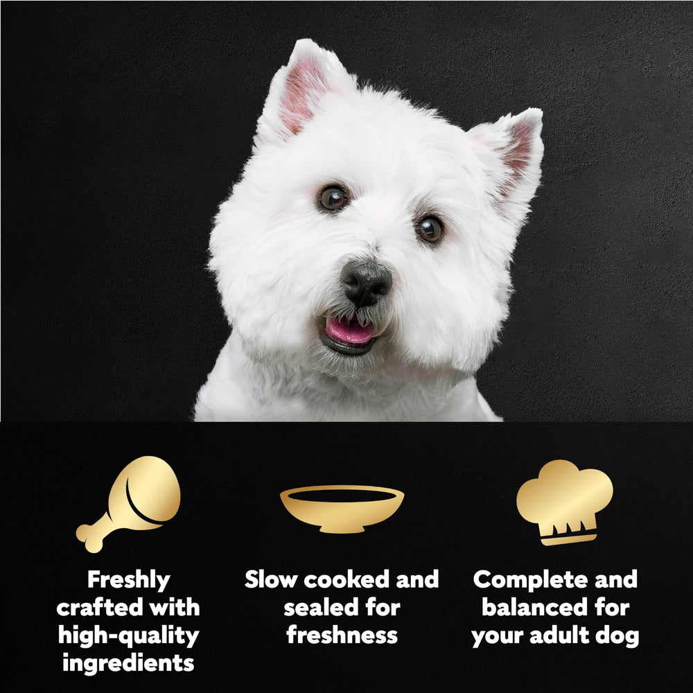 Cesar Filets en Gravy – sachets mini poulet, portion idéale pour repas.