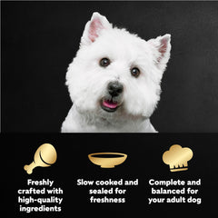 Cesar Filets en Gravy – sachets mini poulet, portion idéale pour repas.