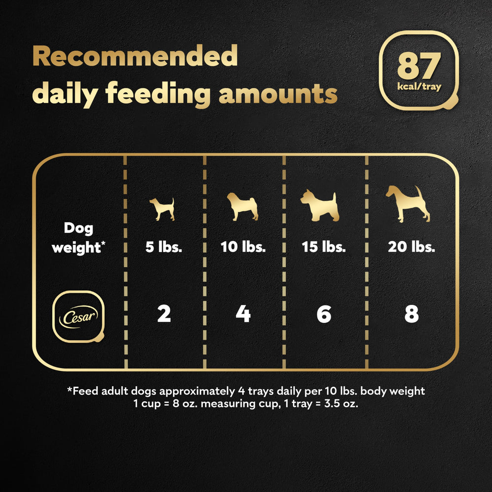 Repas complet et équilibré pour chien adulte avec Cesar Home Delights.