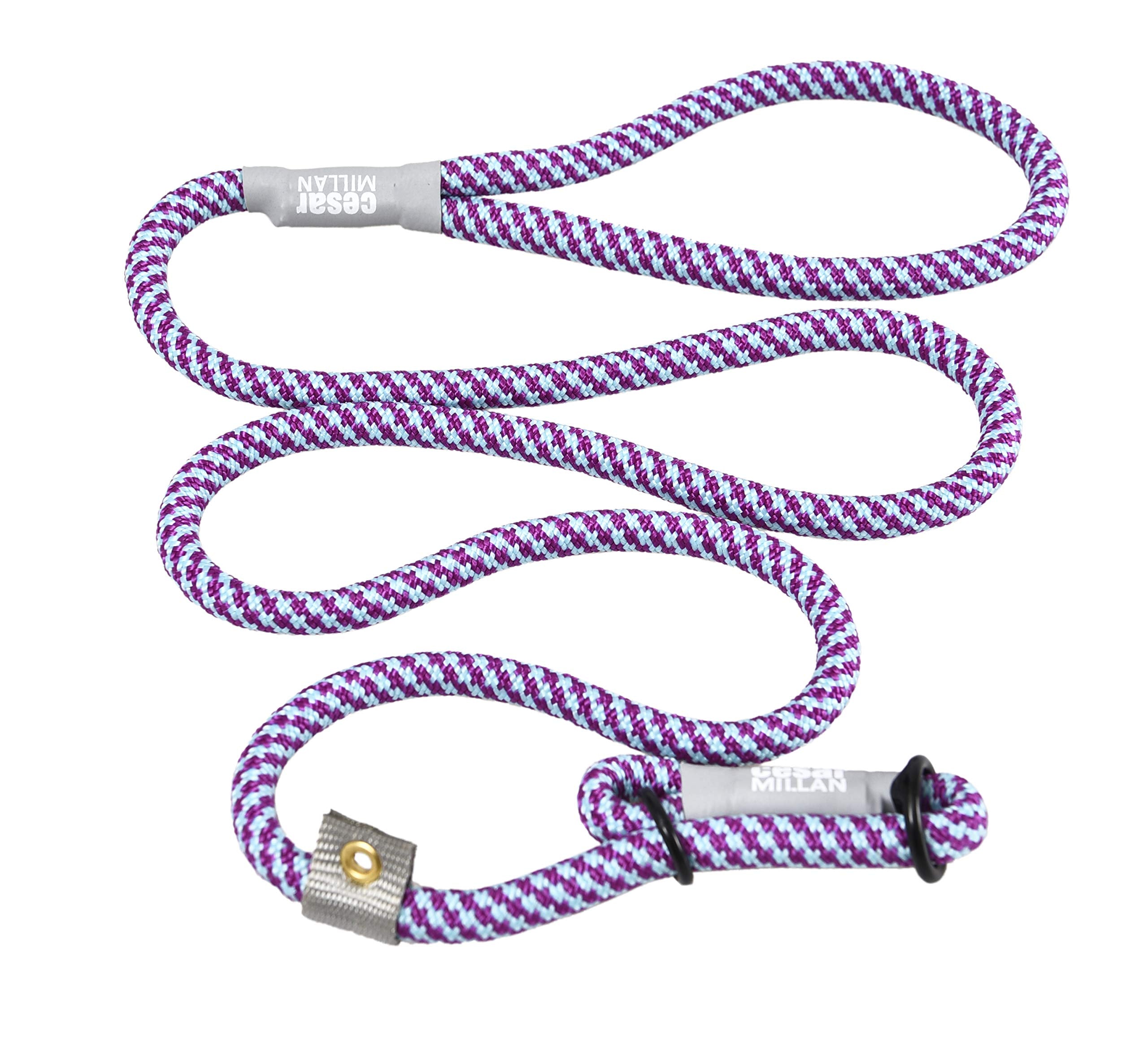 Cesar Millan Laisse Coulissante Aqua, poignée robuste pour promenades quotidiennes.