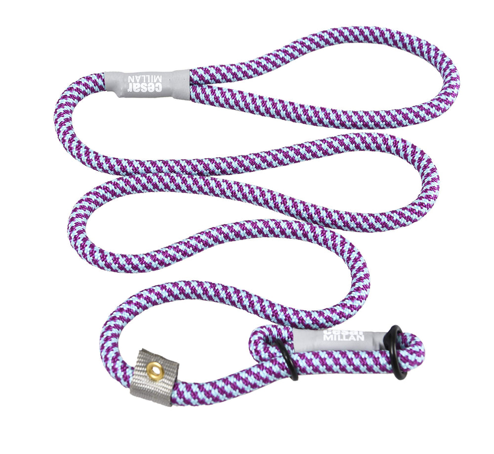 Cesar Millan Laisse Coulissante Aqua, poignée robuste pour promenades quotidiennes.