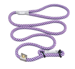 Cesar Millan Laisse Coulissante Aqua, poignée robuste pour promenades quotidiennes.