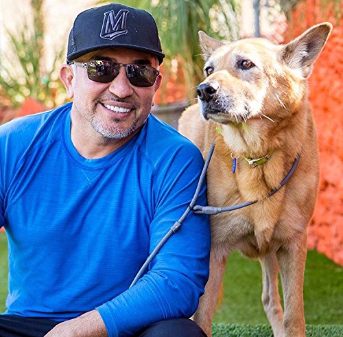 Cesar Millan Laisse Coulissante: bande réfléchissante pour sorties nocturnes.