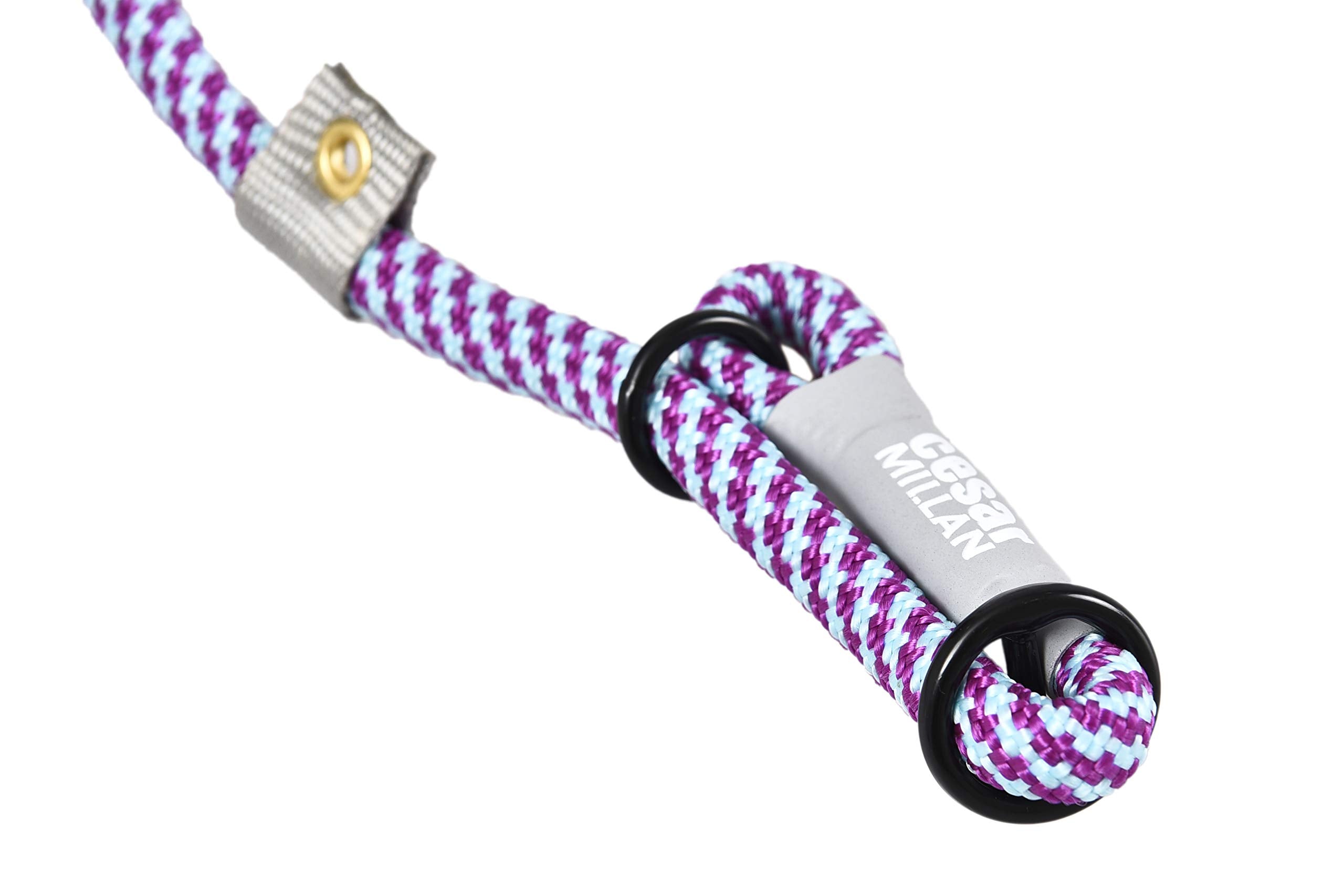 Cesar Millan Laisse Coulissante Violet, mousqueton métallique pour sécurité.