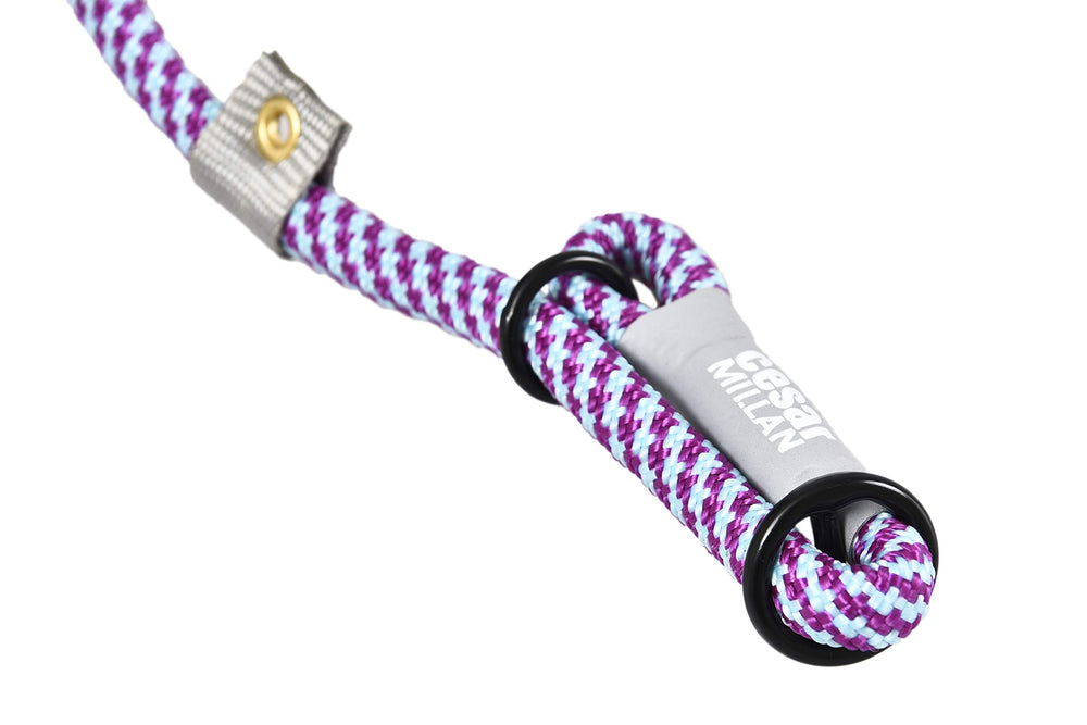 Cesar Millan Laisse Coulissante Violet, mousqueton métallique pour sécurité.