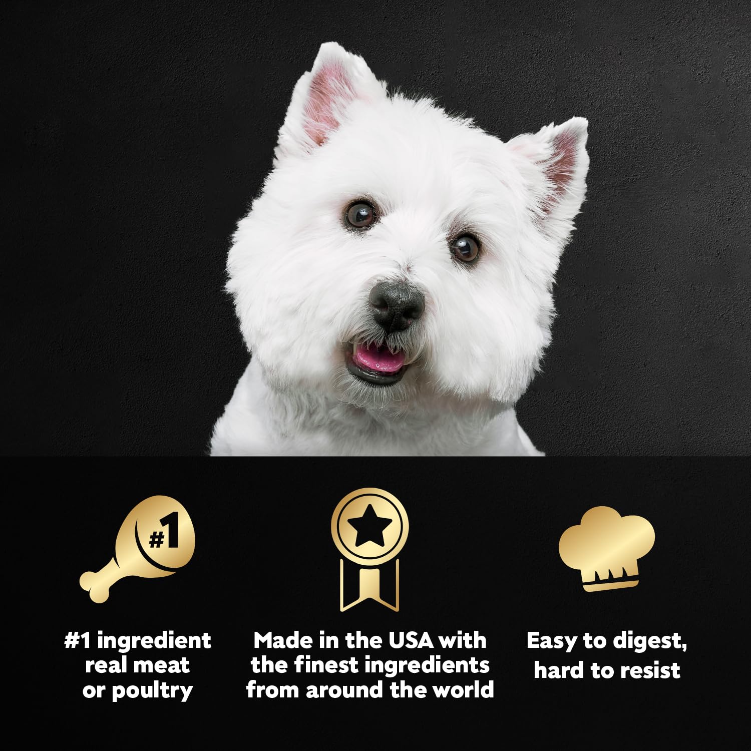 Cesar saveur filet mignon avec texture tendre pour chien.