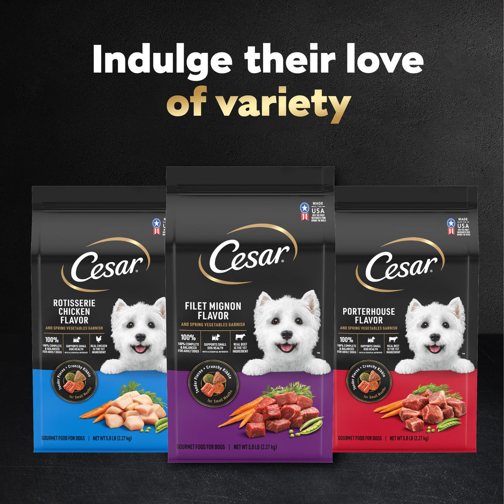Cesar petit chien : format pratique pour les repas quotidiens.