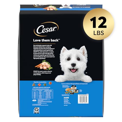 Cesar petit chien légumes printemps: bol coloré et saveur légère.