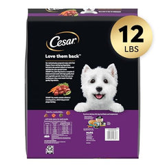 Cesar Petits Chiens Bouchées Tendres et Croquantes sur une assiette.