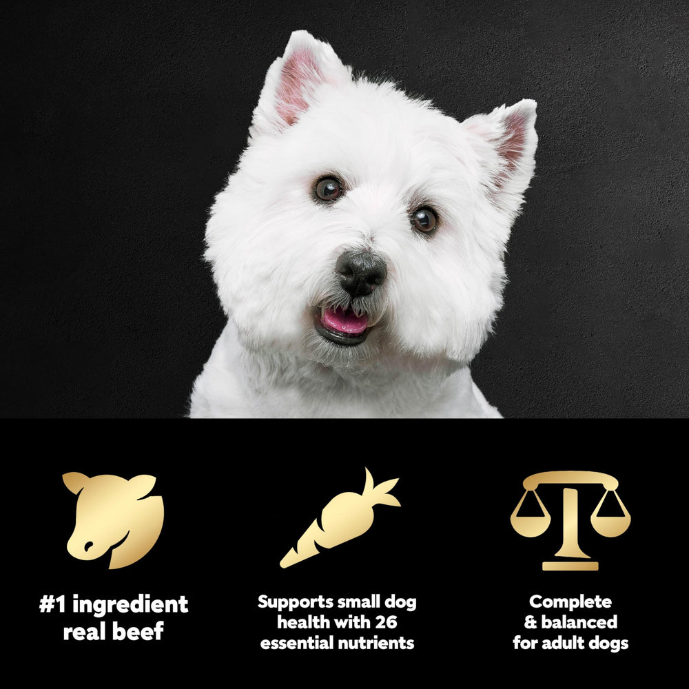 Cesar Petits Chiens Croquettes Croquantes pour petits museaux.