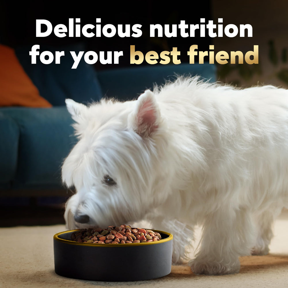 Cesar premier ingrédient poulet, saveur authentique pour petits chiens.