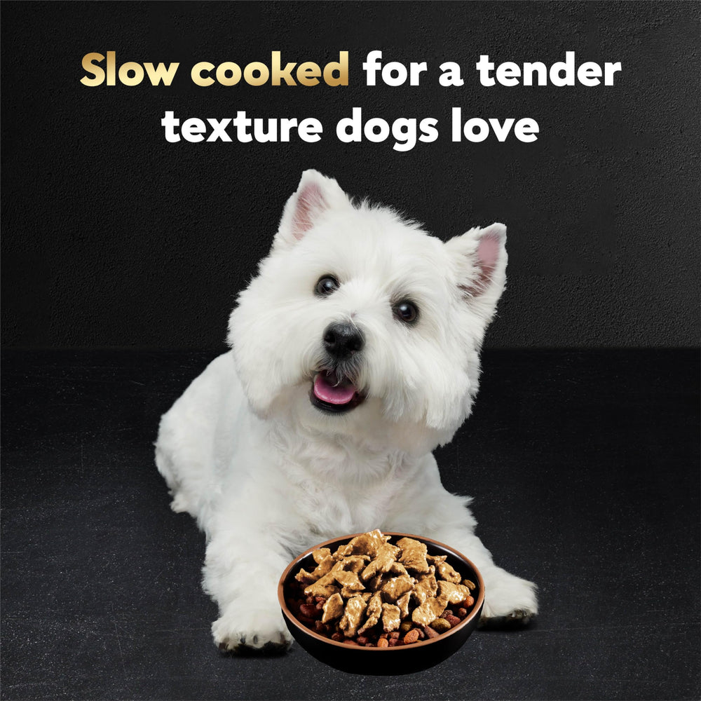 Filets en Sauce Cesar: texture tendre et savoureuse