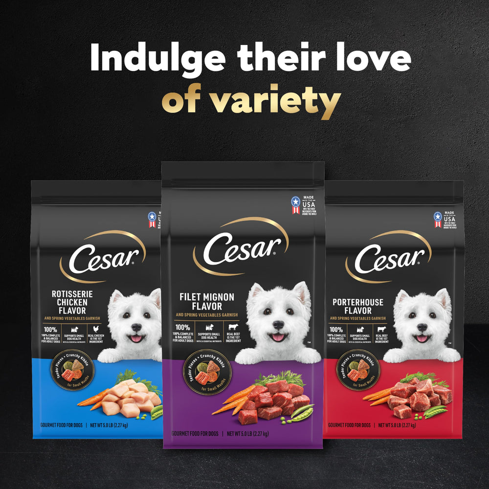 Cesar sac poids 2,7 lb, format pratique pour l'alimentation.