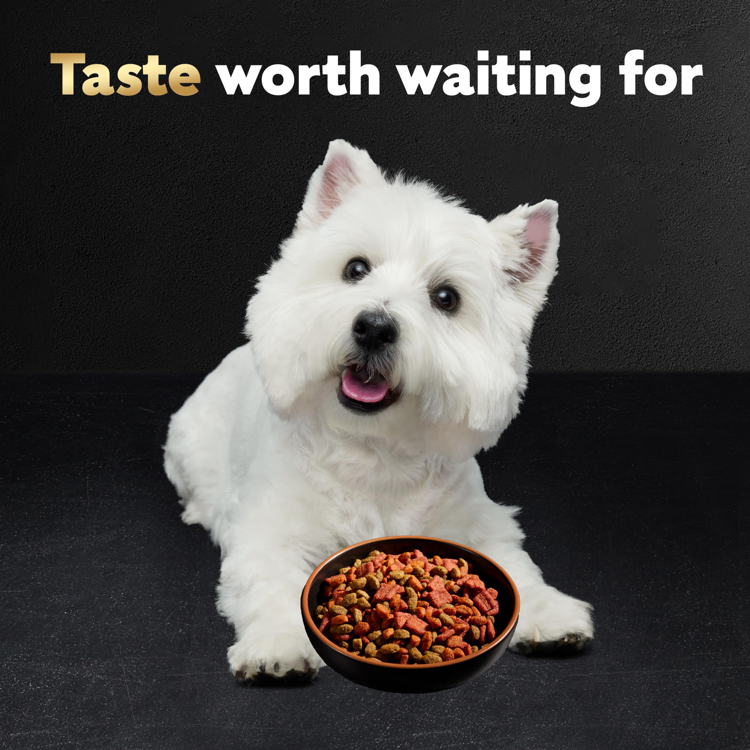 Cesar sans additifs artificiels, option saine pour petits chiens.