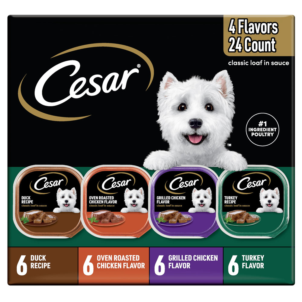 Cesar Variete Pack canard en terrine dans sauce, repas proteine pour chien adulte