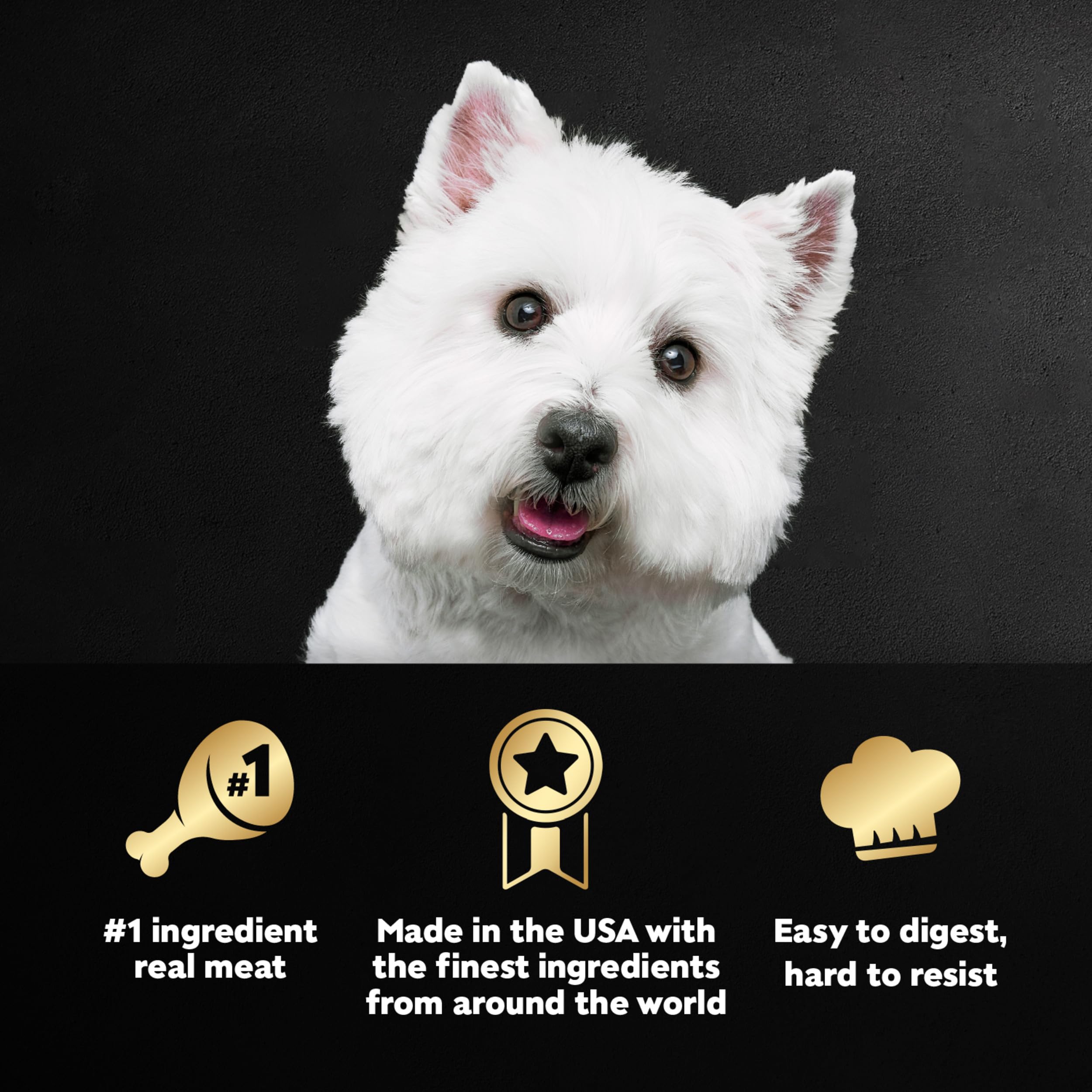 Cesar variété petit-déjeuner pour chien, pack pratique pour varier les repas