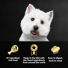 Cesar variété petit-déjeuner pour chien, pack pratique pour varier les repas