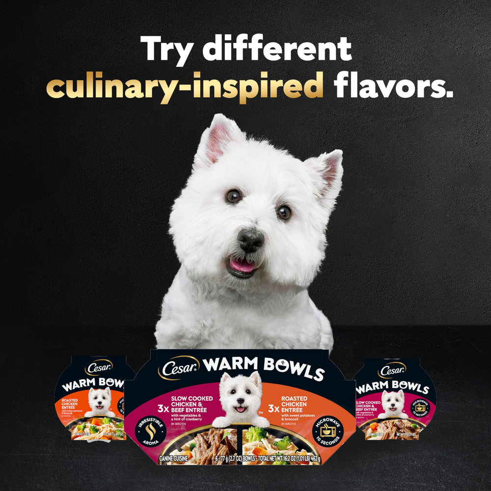 Cesar Warm Bowls arôme appétissant – motivation pour le repas quotidien.