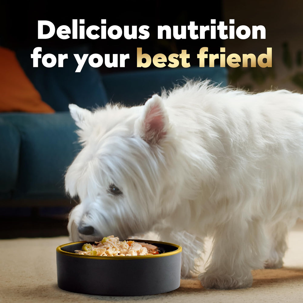 Cesar Wholesome Bowls arôme appetissant – incite à une dégustation agréable.