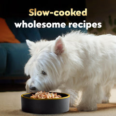 Cesar Wholesome Bowls boeuf en portions, repas pratique et gourmand.