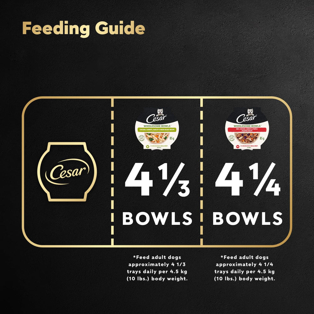 Conseil de service simple avec Cesar Wholesome Bowls
